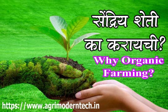 सेंद्रिय शेती का करायची? Why Organic Farming?